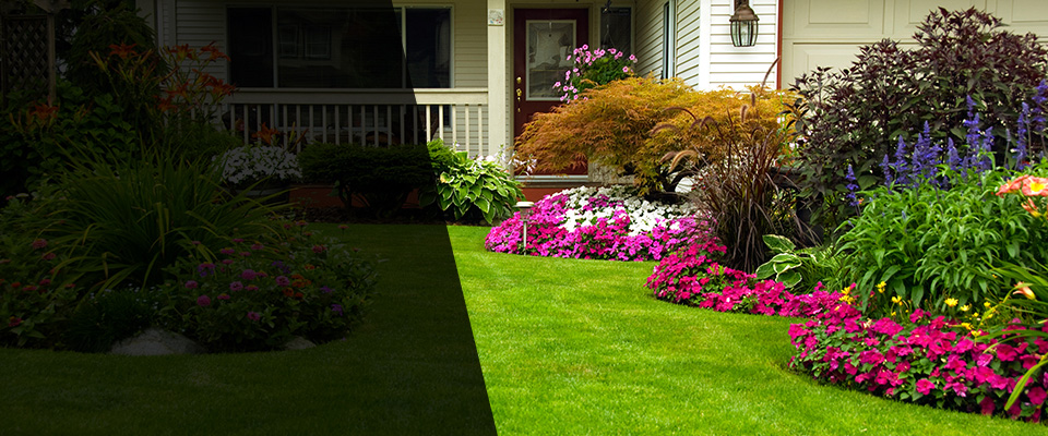 Craig Landscapers