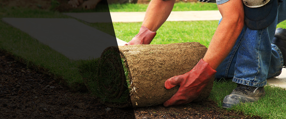 Craig Landscapers